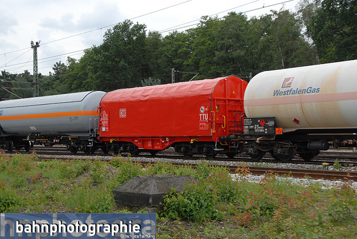 2016_062_Shimmns_ttu